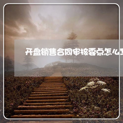 开盘销售合同审核要点怎么写/2023040962603