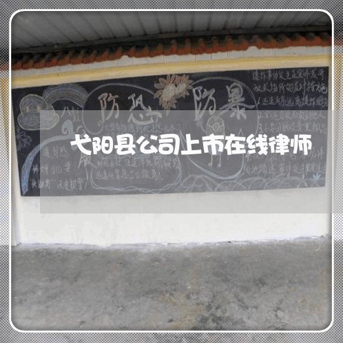 弋阳县公司上市在线律师