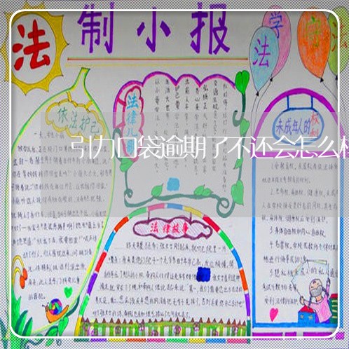 引力口袋逾期了不还会怎么样