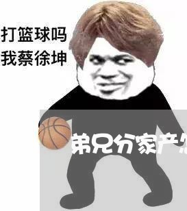 弟兄分家产怎么写合同协议/2023022599594