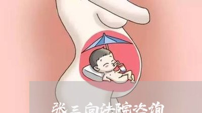 张三向法院咨询 张三向法院咨询
