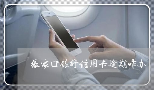 张家口银行信用卡逾期咋办 张家口银行信用卡逾期咋办