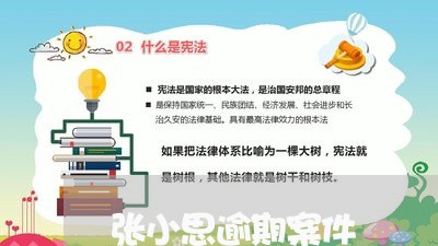 张小思逾期案件 张小思逾期案件