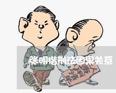 张明楷刑法因果关系