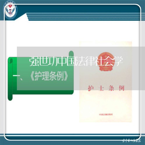 强世功中国法律社会学 强世功中国法律社会学