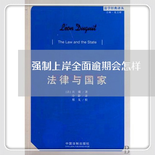 强制上岸全面逾期会怎样/2023022592814