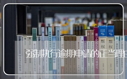 强制执行逾期申请的正当理由