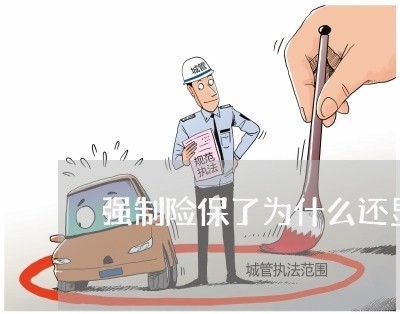 强制险保了为什么还显示逾期