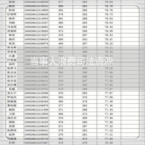 当事人浪费司法资源