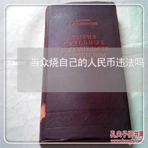 当众烧自己的人民币违法吗