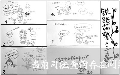 当前司法查询存在问题和建议