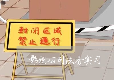 影视公司法务实习 影视公司法务实习