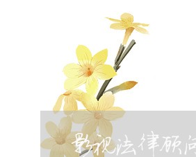 影视法律顾问/2023061661936 影视法律顾问/2023061661936