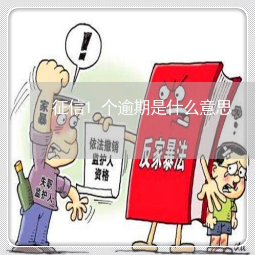 征信1个逾期是什么意思