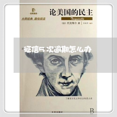 征信5次逾期怎么办