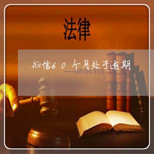 征信60个月处于逾期