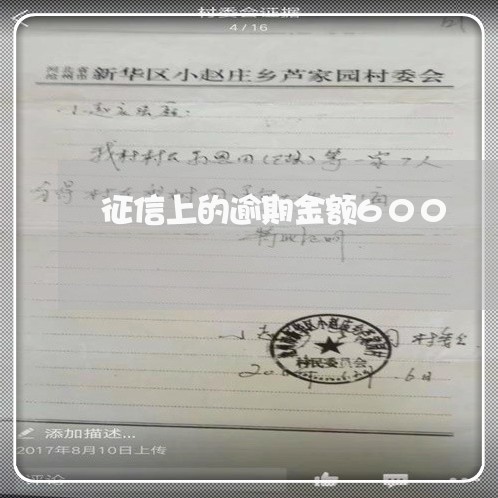 征信上的逾期金额600 征信上的逾期金额600