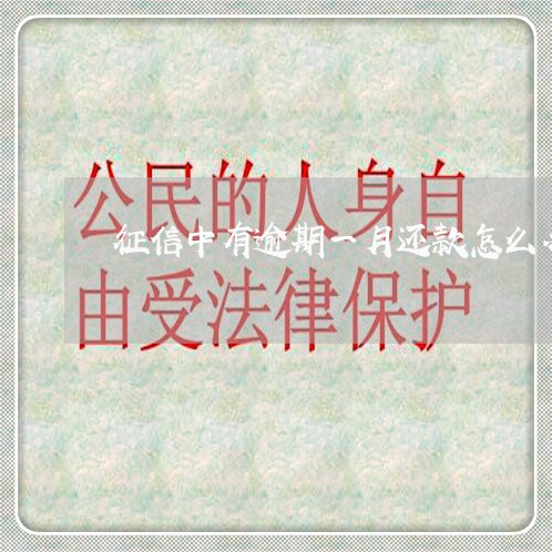 征信中有逾期一月还款怎么办