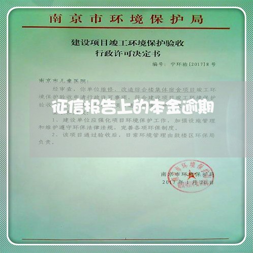 征信报告上的本金逾期