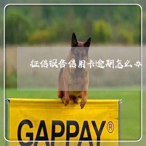 征信报告信用卡逾期怎么办 征信报告信用卡逾期怎么办