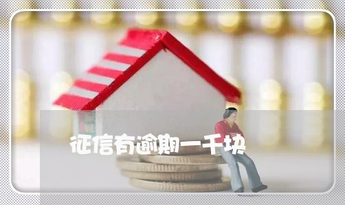 征信有逾期一千块 征信有逾期一千块