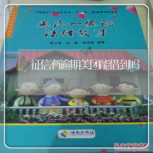 征信有逾期美团能借到吗/2023061826279