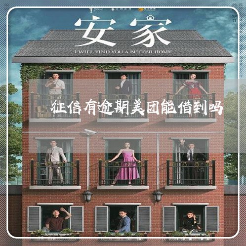 征信有逾期美团能借到吗/2023061863715