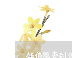 征信能查到信用卡欠多少吗 征信能查到信用卡欠多少吗