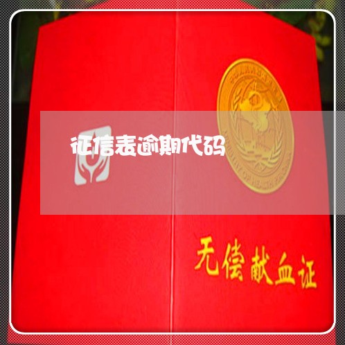 征信表逾期代码
