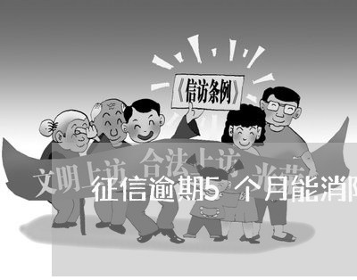 征信逾期5个月能消除吗