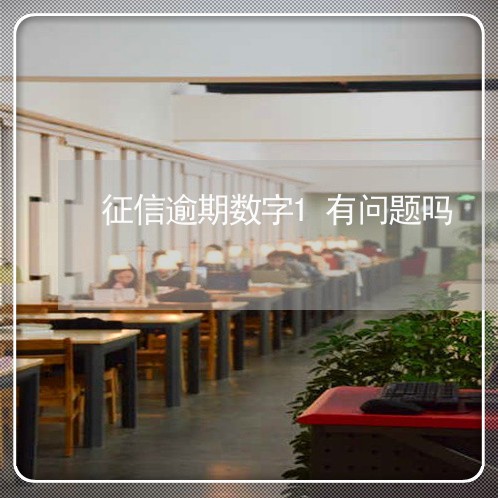 征信逾期数字1有问题吗