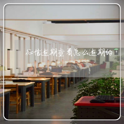 征信逾期查看怎么逾期的 征信逾期查看怎么逾期的