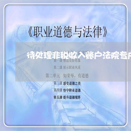 待处理非税收入账户法院专户