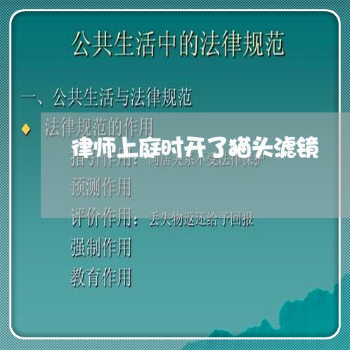 律师上庭时开了猫头滤镜