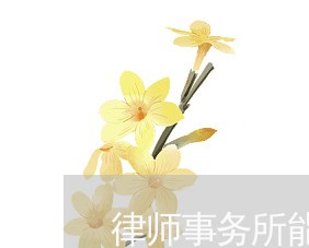 律师事务所能帮写合同吗/2023061907168