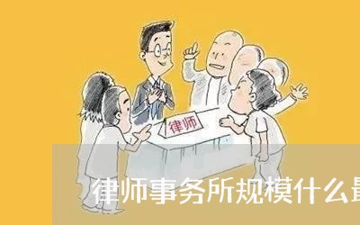 律师事务所规模什么最大/2023060839483