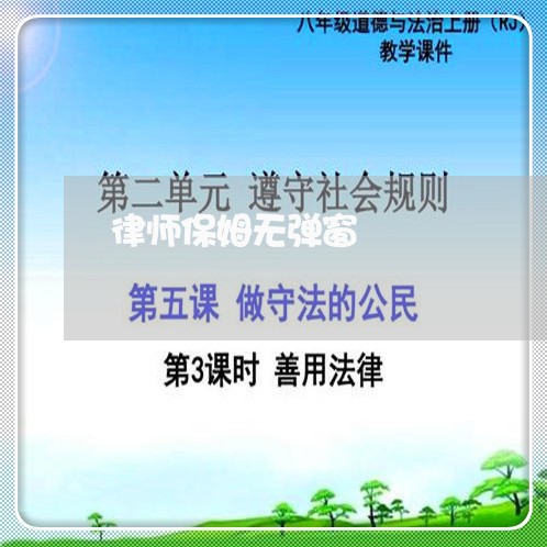 律师保姆无弹窗
