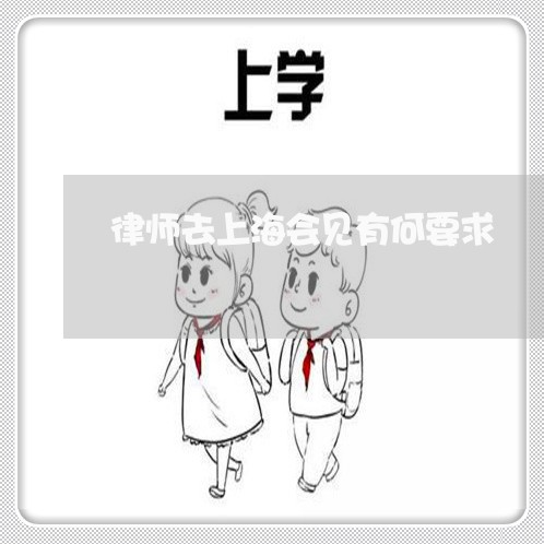 律师去上海会见有何要求/2023041074935