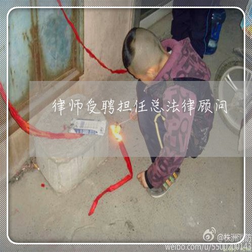 律师受聘担任总法律顾问/2023061871503