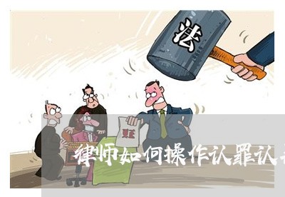 律师如何操作认罪认罚案件/2023060971705