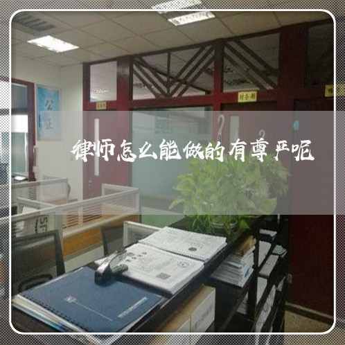 律师怎么能做的有尊严呢/2023060158693