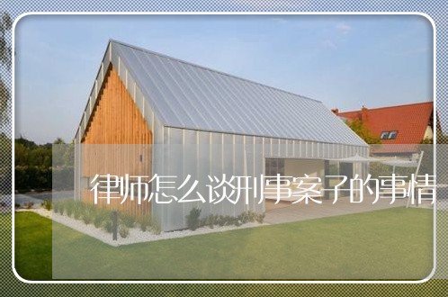 律师怎么谈刑事案子的事情/2023060277350