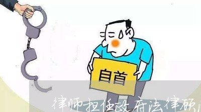 律师担任政府法律顾问小结 律师担任政府法律顾问小结
