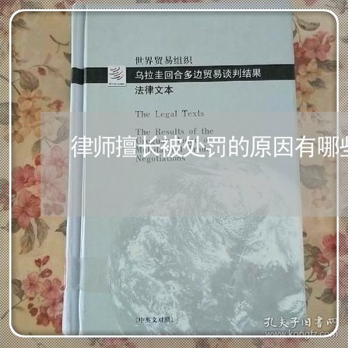 律师擅长被处罚的原因有哪些/2023060435047