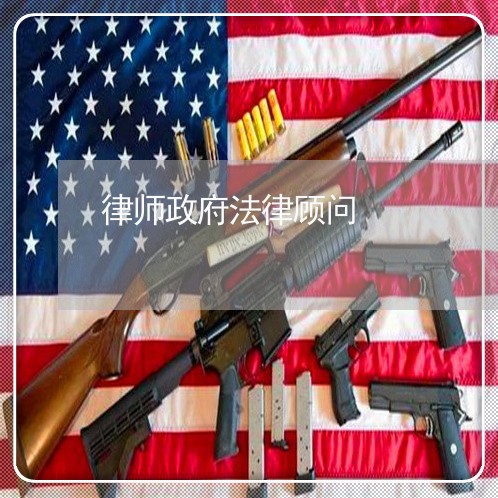 律师政府法律顾问 律师政府法律顾问