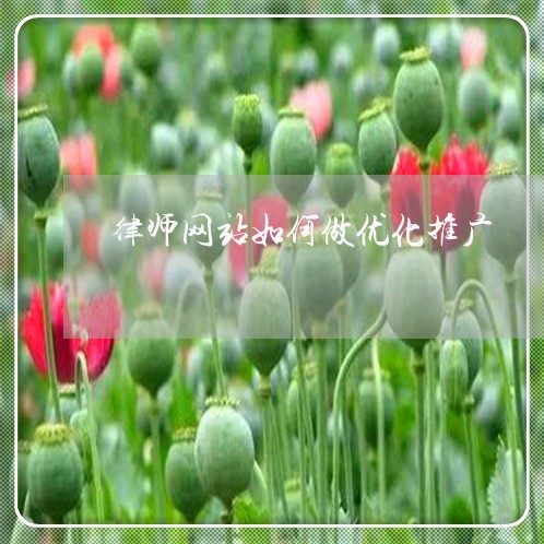 律师网站如何做优化推广
