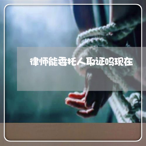 律师能委托人取证吗现在/2023042551603