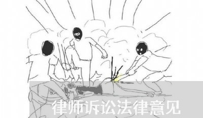 律师诉讼法律意见