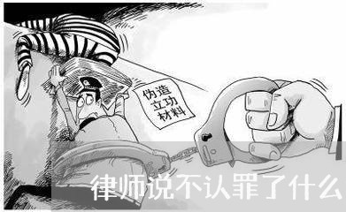 律师说不认罪了什么意思/2023060181702