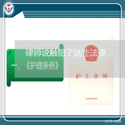 律师说触犯了这些法律 律师说触犯了这些法律